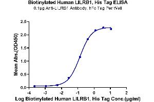 Immobilized Anti-LILRB1 Antibody, hFc Tag at 1 μg/mL (100 μL/well) on the plate. (LILRB1 Protein (AA 24-458) (His-Avi Tag,Biotin))