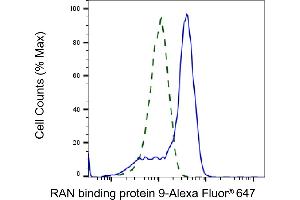 Validation of RAN binding protein 9 knockdown using flow cytometry. (Rekombinanter Importin 9 Antikörper)