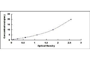 Typical standard curve (GLRa2 ELISA Kit)