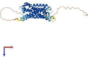 SSTR5 Protein (AA 1-364) (His tag)