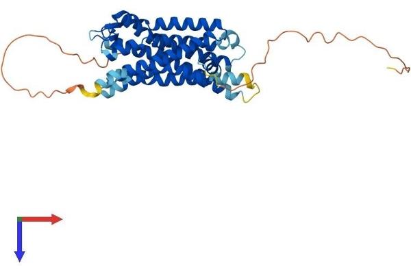 SSTR5 Protein (AA 1-364) (His tag)