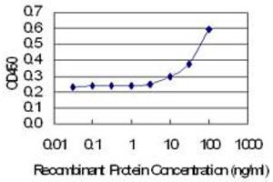 Detection limit for recombinant GST tagged PPID is 3 ng/ml as a capture antibody. (PPID Antikörper  (AA 1-370))