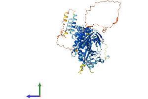 Protein Structure (PS) image for Guanylate Cyclase 1, Soluble, alpha 2 (GUCY1A2) (AA 1-732) protein (His tag) (ABIN7547936)