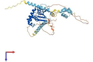 AlphaFold protein structure predicition of Mouse Recombinant Otud3 Protein, UniprotID B1AZ99
