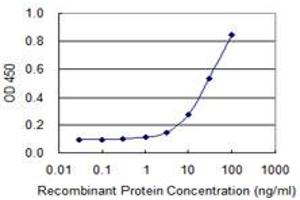 ELISA image for anti-Eukaryotic Translation Initiation Factor 2, Subunit 3 Gamma, 52kDa (EIF2S3) (AA 383-472) antibody (ABIN515200)