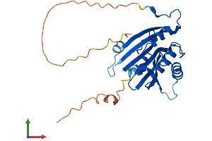Protein Structure (PS) image for Eukaryotic Translation Initiation Factor 4E Family Member 2 (EIF4E2) (AA 1-245) protein (His tag) (ABIN7558758)