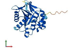 AlphaFold protein structure predicition of Human Recombinant EMC9 Protein, UniprotID Q9Y3B6