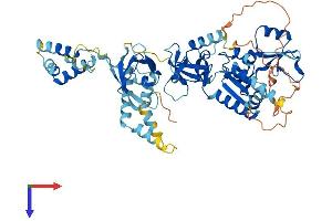 MPP3 Protein (AA 1-585) (His tag)