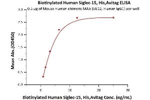 Immobilized Mouse Human chimeric MAb (5G12, Human IgG1) at 5 μg/mL (100 μL/well) can bind Biotinylated Human Siglec-15, His,Avitag (recommended for biopanning) (ABIN6938941,ABIN6951006) with a linear range of 0.