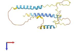 BNIP3 Protein (AA 1-187) (His tag)