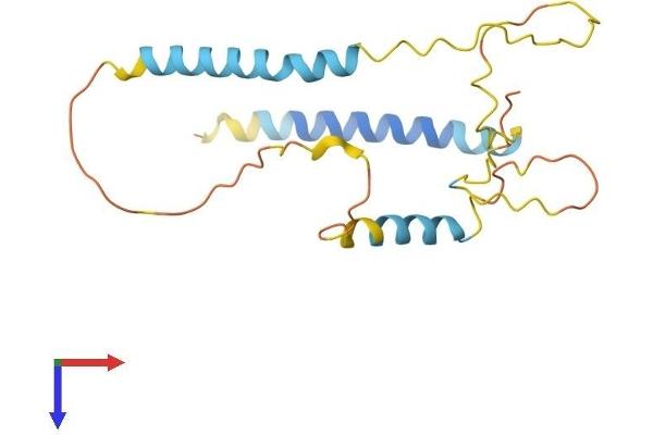 BNIP3 Protein (AA 1-187) (His tag)