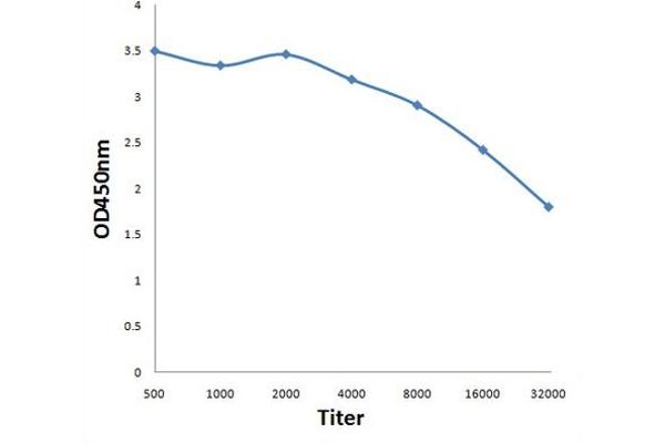 PRDM2 Antikörper  (AA 1201-1300)