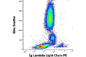 Flow cytometry surface staining pattern of human peripheral whole blood stained using anti-human Ig Lambda Light Chain (1-155-2) PE antibody (10 μL reagent / 100 μL of peripheral whole blood). (Lambda-IgLC Antikörper  (PE))