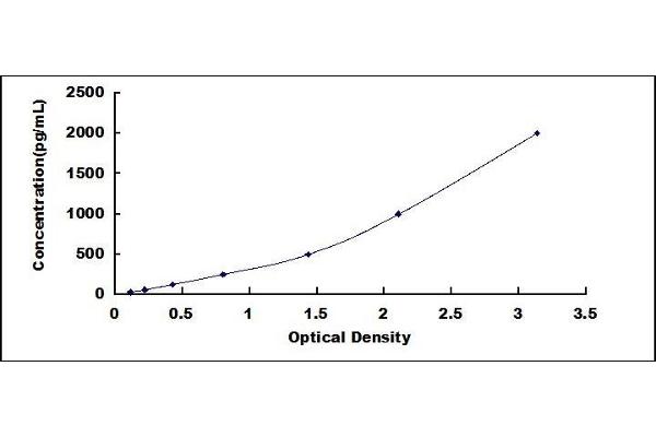 Fibromodulin ELISA Kit