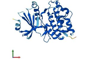 AlphaFold protein structure predicition of Mouse Recombinant Tssk6 Protein, UniprotID Q925K9