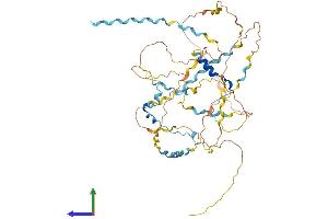 Protein Structure (PS) image for WAS/WASL Interacting Protein Family, Member 3 (WIPF3) (AA 1-483) protein (His tag) (ABIN7545178)