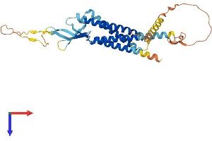 GSG1 Protein (AA 1-324) (His tag)
