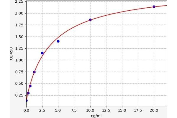 BCL2L2 ELISA Kit