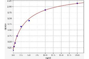 Typical standard curve (BCL2L2 ELISA Kit)