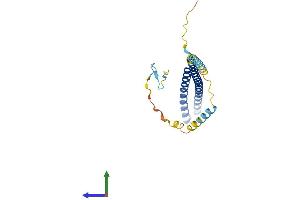 Protein Structure (PS) image for Charged Multivesicular Body Protein 5 (CHMP5) (AA 1-219) protein (His tag) (ABIN7553496)