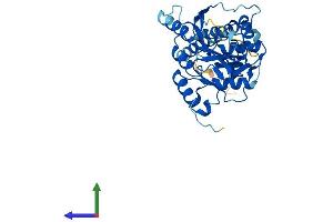 Protein Structure (PS) image for beta-1,3-N-Acetylgalactosaminyltransferase 1 (B3GALNT1) (AA 1-331) protein (His tag) (ABIN7552523)