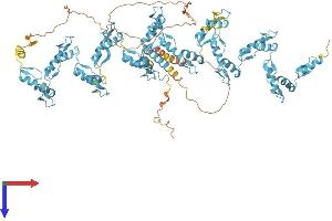 AlphaFold protein structure predicition of Human Recombinant ZNF808 Protein, UniprotID Q8N4W9