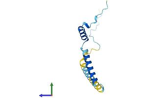 Protein Structure (PS) image for Family with Sequence Similarity 32, Member A (FAM32A) (AA 1-112) protein (His tag) (ABIN7560619)