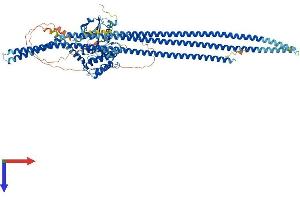 TAO Kinase 3 Protein (TAOK3) (AA 1-898) (His tag)