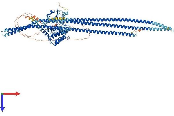 TAO Kinase 3 Protein (TAOK3) (AA 1-898) (His tag)