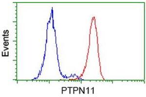 Flow cytometric Analysis of Hela cells, using anti-PTPN11 antibody (ABIN2453870), (Red), compared to a nonspecific negative control antibody, (Blue). (PTPN11 Antikörper)
