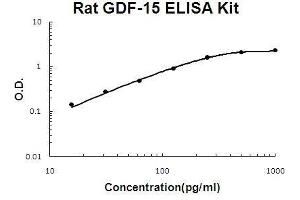 Rat GDF-15 PicoKine ELISA Kit standard curve