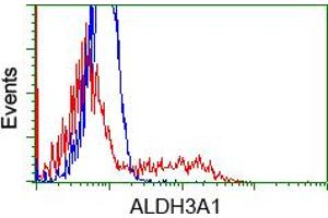 Image no. 1 for anti-Aldehyde Dehydrogenase 3 Family, Member A1 (ALDH3A1) antibody (ABIN1496591) (ALDH3A1 Antikörper)