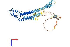 GJA4 Protein (AA 1-333) (His tag)