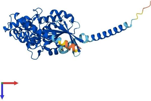 GNAS Protein (AA 1-394) (His tag)