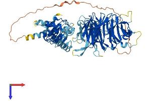 LRWD1 Protein (AA 1-647) (His tag)