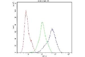 Flow Cytometry analysis of A549 cells using anti-Dynamin 1 antibody (ABIN5692848).