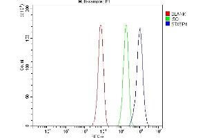 Flow Cytometry analysis of HepG2 cells using anti-Synip/STXBP4 antibody (ABIN7602066). (STXBP4 Antikörper  (AA 57-481))