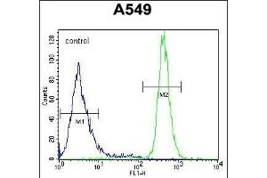 Flow Cytometry (FACS) image for anti-WAP Four-Disulfide Core Domain 12 (WFDC12) (AA 66-94), (C-Term) antibody (ABIN654327)
