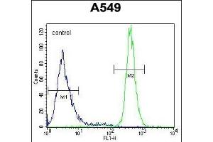 WFDC12 Antibody (C-term) (ABIN654327 and ABIN2844104) flow cytometric analysis of A549 cells (right histogram) compared to a negative control cell (left histogram). (WFDC12 Antikörper  (C-Term))