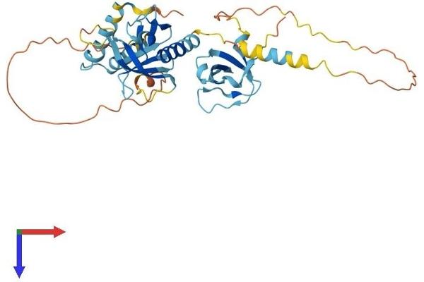 SKAP1 Protein (AA 1-355) (His tag)
