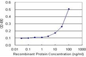 Sandwich ELISA detection sensitivity ranging from 10 ng/mL to 100 ng/mL.