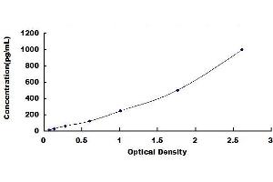 GM-CSF ELISA Kit