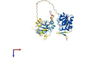 DUSP6 Protein (AA 1-381) (His tag)