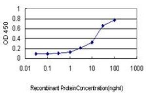 Detection limit for recombinant GST tagged ITGB5 is approximately 0. (Integrin beta 5 Antikörper  (AA 421-516))
