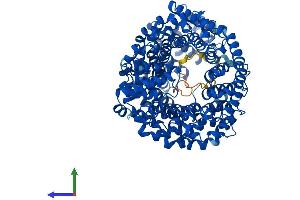 Protein Structure (PS) image for Transportin 2 (TNPO2) (AA 1-887) protein (His tag) (ABIN7564893)