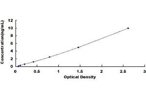 Guanylate Binding Protein 1, Interferon-Inducible (GBP1) ELISA Kit