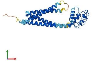 AlphaFold protein structure predicition of Human Recombinant CD151 Protein, UniprotID P48509