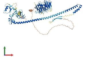 Protein Structure (PS) image for Tripartite Motif Containing 56 (TRIM56) (AA 1-755) protein (His tag) (ABIN7555852)