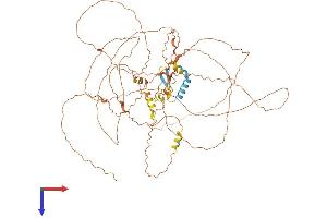 CCDC8 Protein (AA 1-685) (His tag)