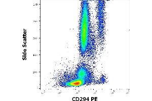 Prostaglandin D2 Receptor 2 (PTGDR2) Antikörper (PE)